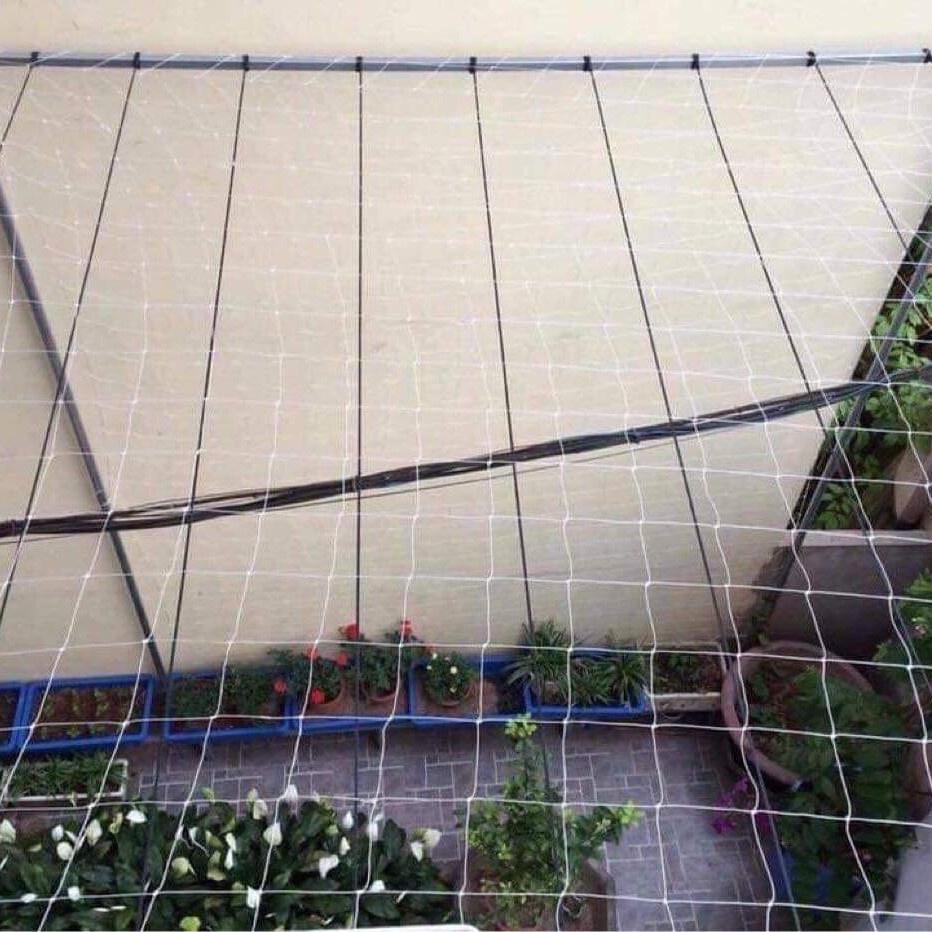 Lưới làm giàn cho cây dây leo