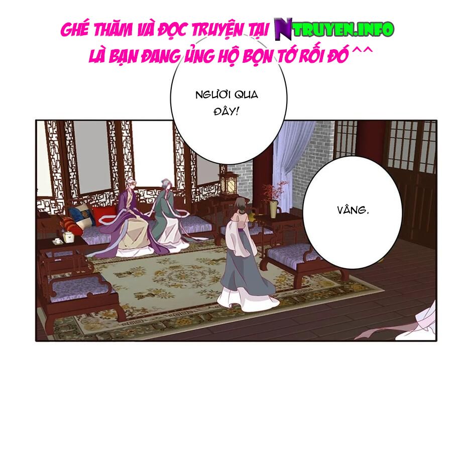 thông linh phi chapter 604 10