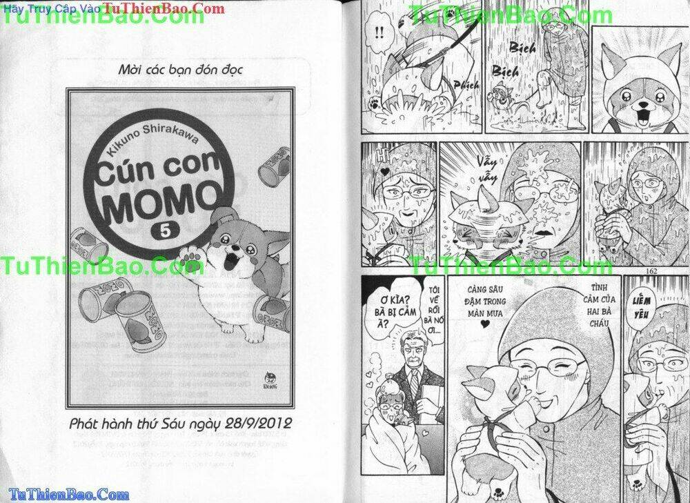 chó con mo mo chapter 4 82