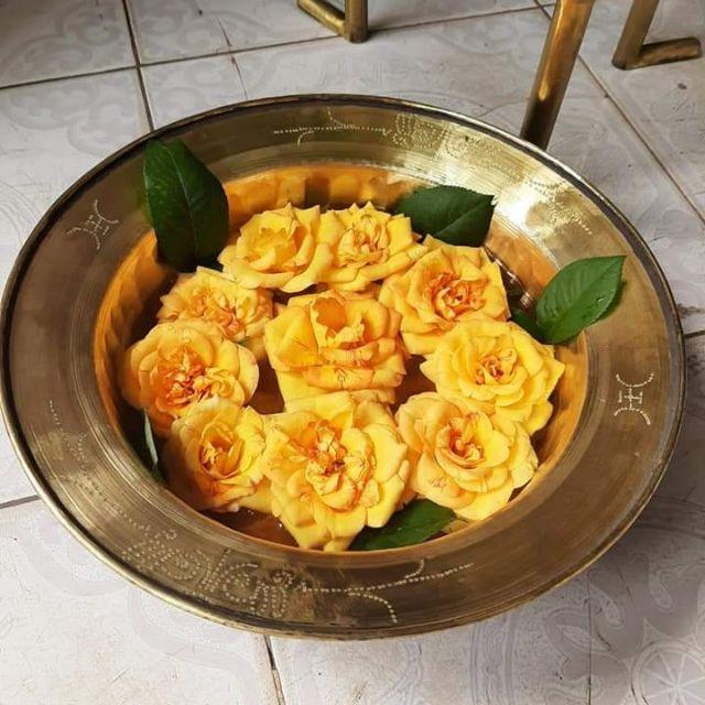 Chậu đồng 25cm .