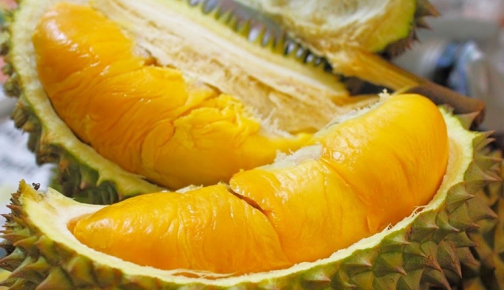 Cây Giống Sầu Riêng Ri6