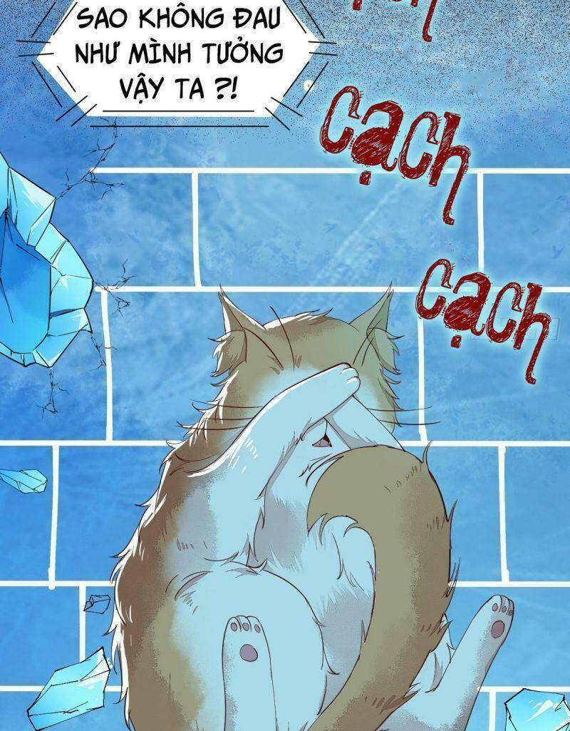 sát thủ vương phi không dễ chọc chapter 41 43