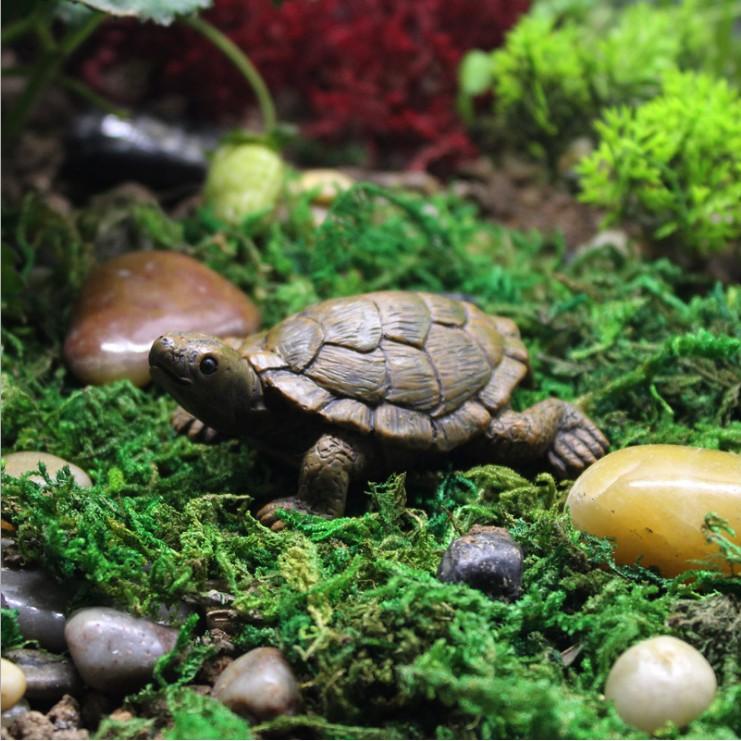 KHO-HN * Mô hình rùa núi đá sống động dùng trang trí tiểu cảnh, bể thủy sinh, terrarium, DIY