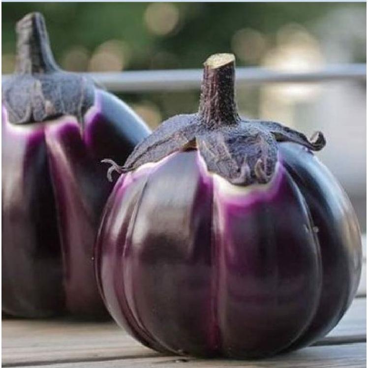 Hạt giống Cà Tím Khía F1 Thái Lan - 1 gói 0.3gr/gói