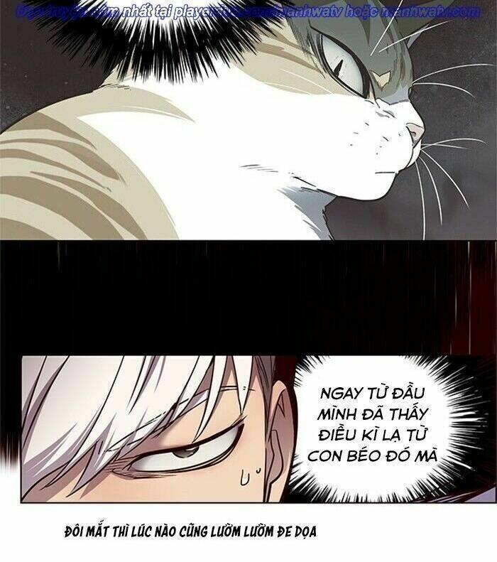 biến thân thành mèo chapter 46 50