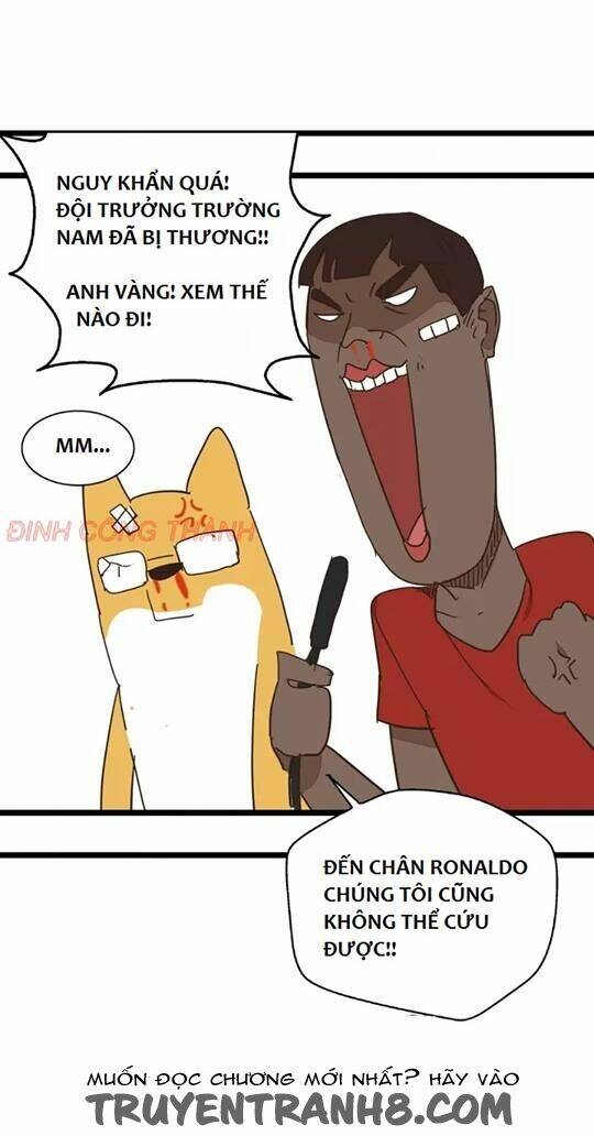 mục vụ chapter 9 29