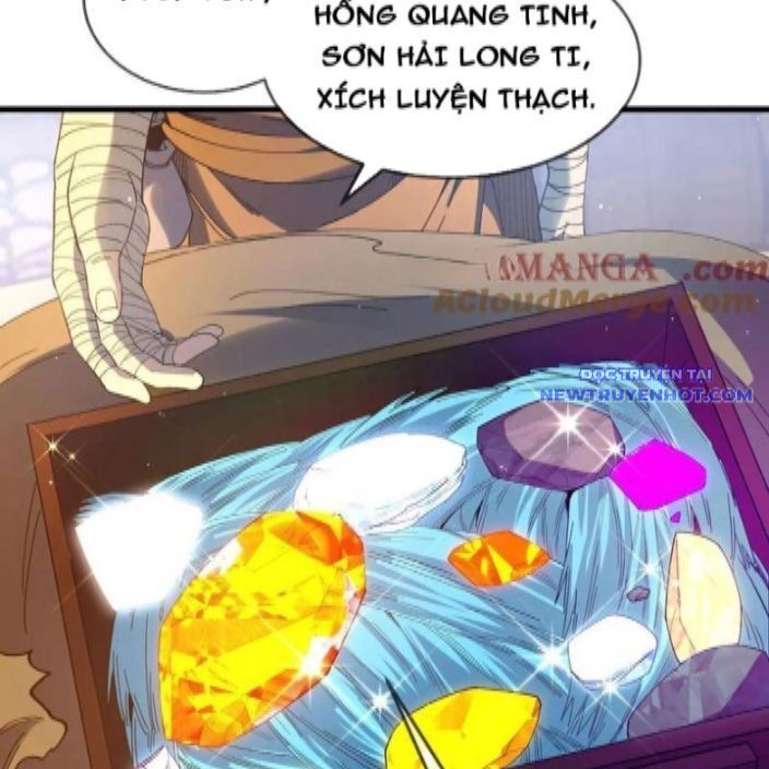 Vô Địch Bị Động Tạo Ra Tấn Sát Thương chapter 62 19