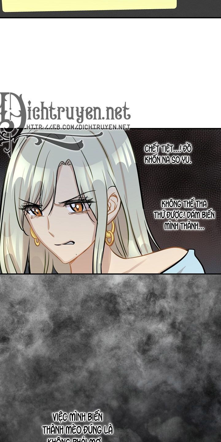 cuộc sống kỳ thú chapter 44 28