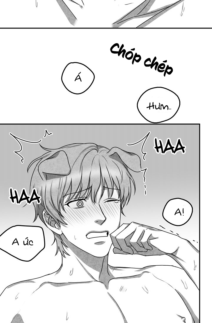 khi cún biết yêu chapter 25 24