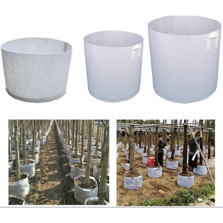 Túi Vải Trồng Cây 2 Quai Xách Kích Thước 45x40cm