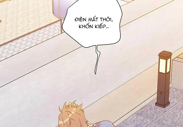 guide cấp b chapter 31 120