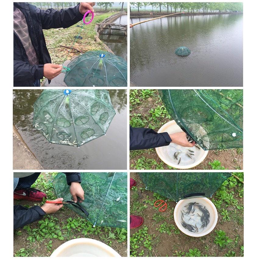 Combo 5 Lồng Bát Quái 8 cửa Tặng 5 Gói Mồi, Bắt Cá Tôm Lươn