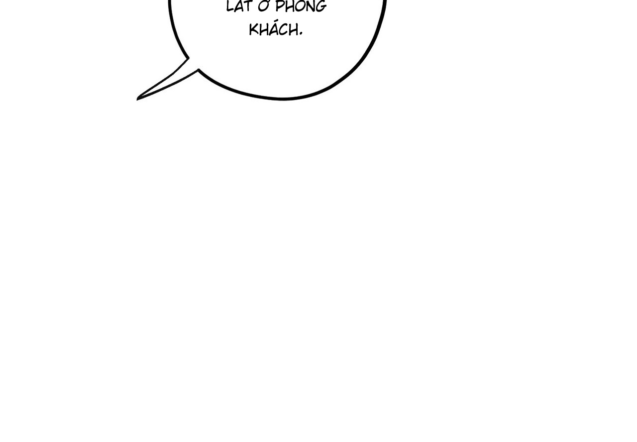 chàng dâu nhà họ kang chapter 40 43