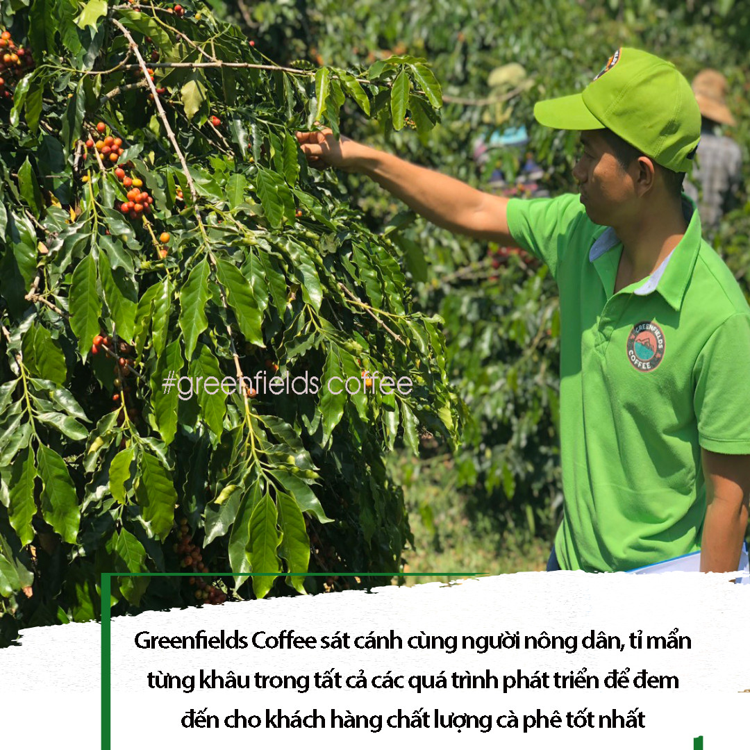 Cà phê hoà tan Cố Đô gu thơm 3in1 (hộp 10 gói x 22g)
