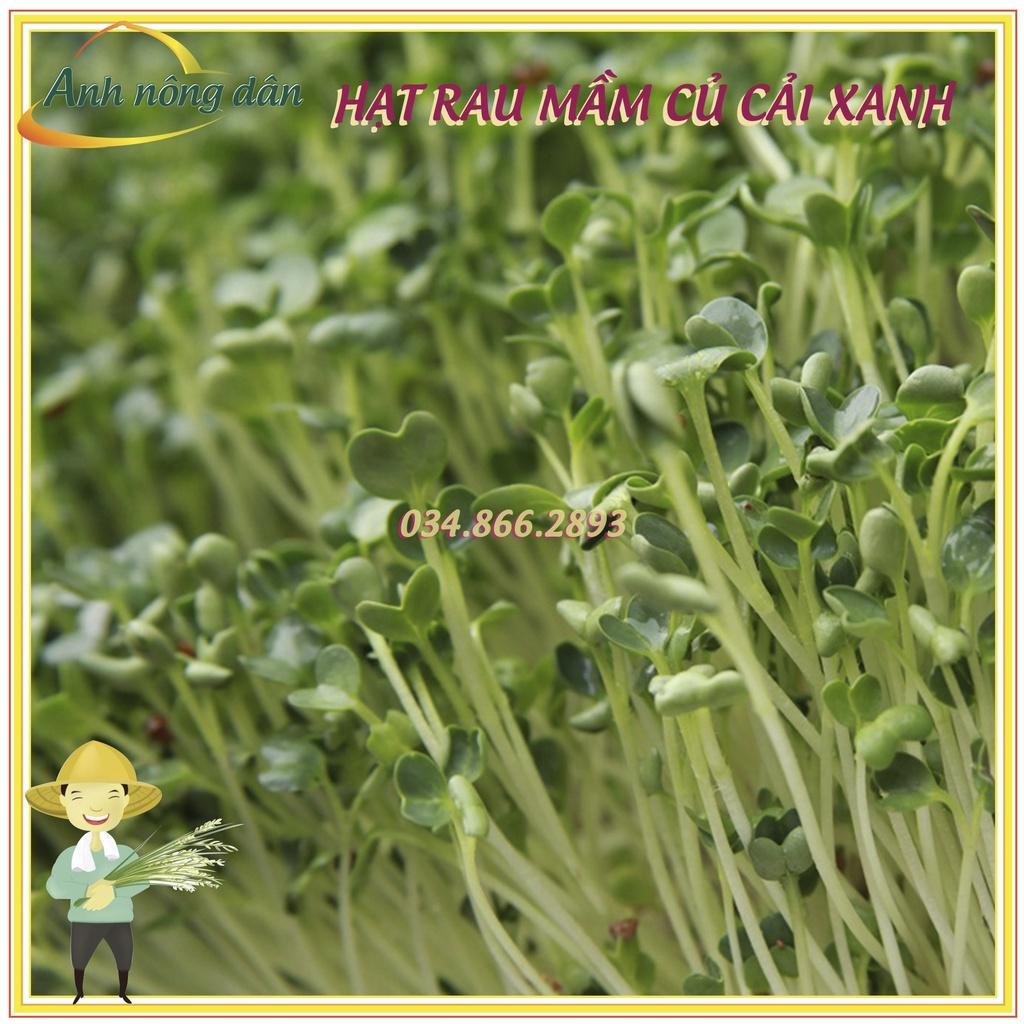 Gói 1kg Hạt rau mầm rau Củ cải Trắng - nảy mầm đều, 7 ngày thu hoạch