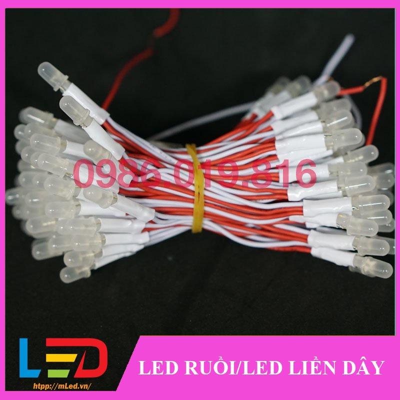 Led liền dây 5mm điện áp 5V, Bóng loại tốt