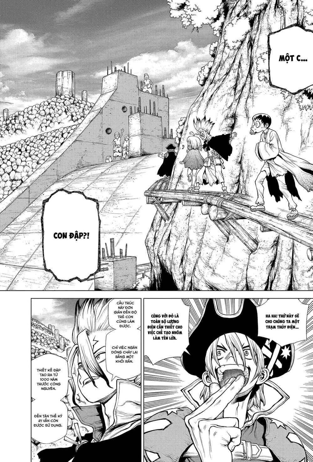 dr.stone - hồi sinh thế giới chapter 212 21