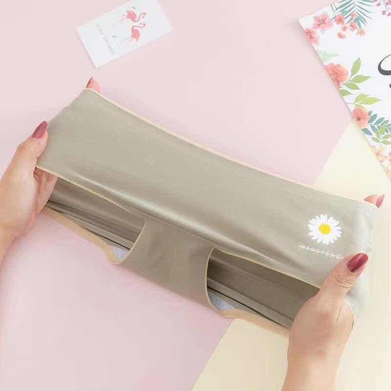 10 Quần Lót Cotton Kháng Khuẩn Không Đường May Hoa Cúc