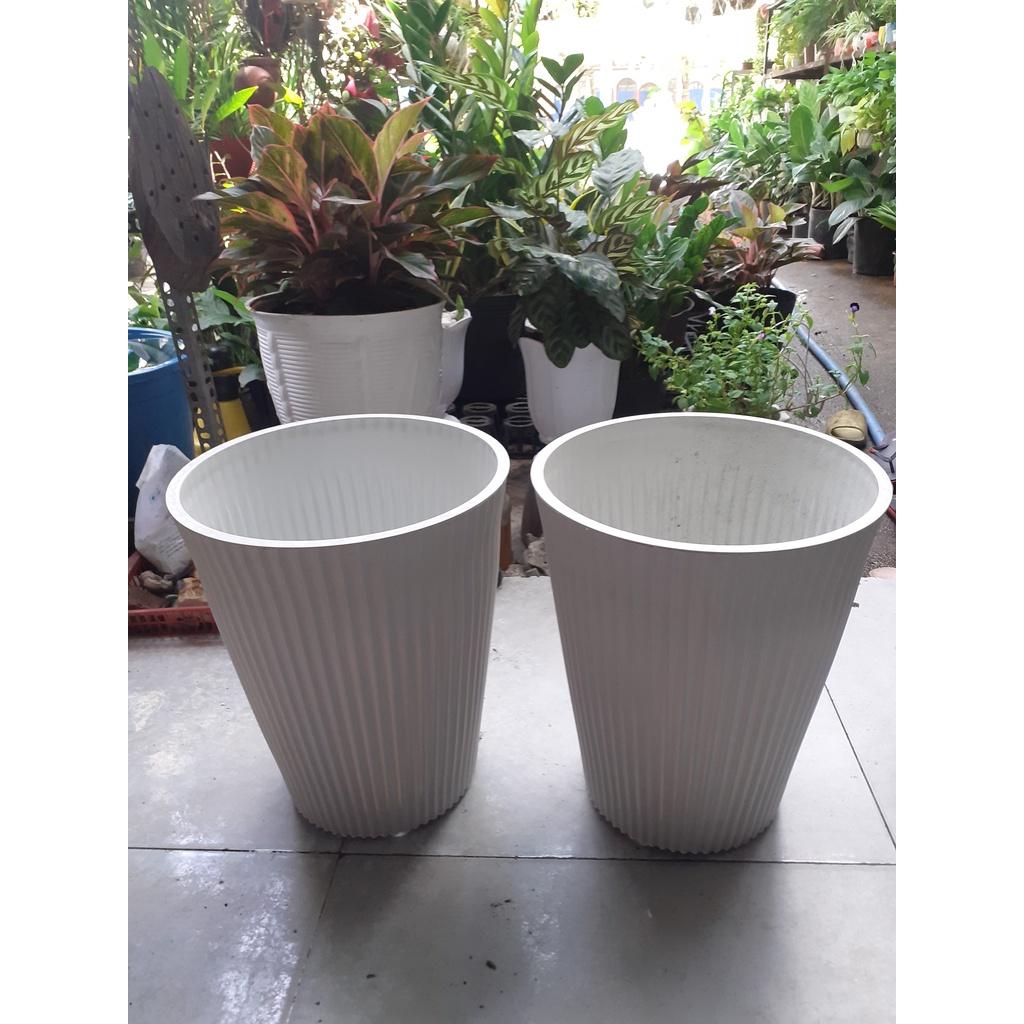 Combo 2 chậu nhựa dày trồng kiểng sọc