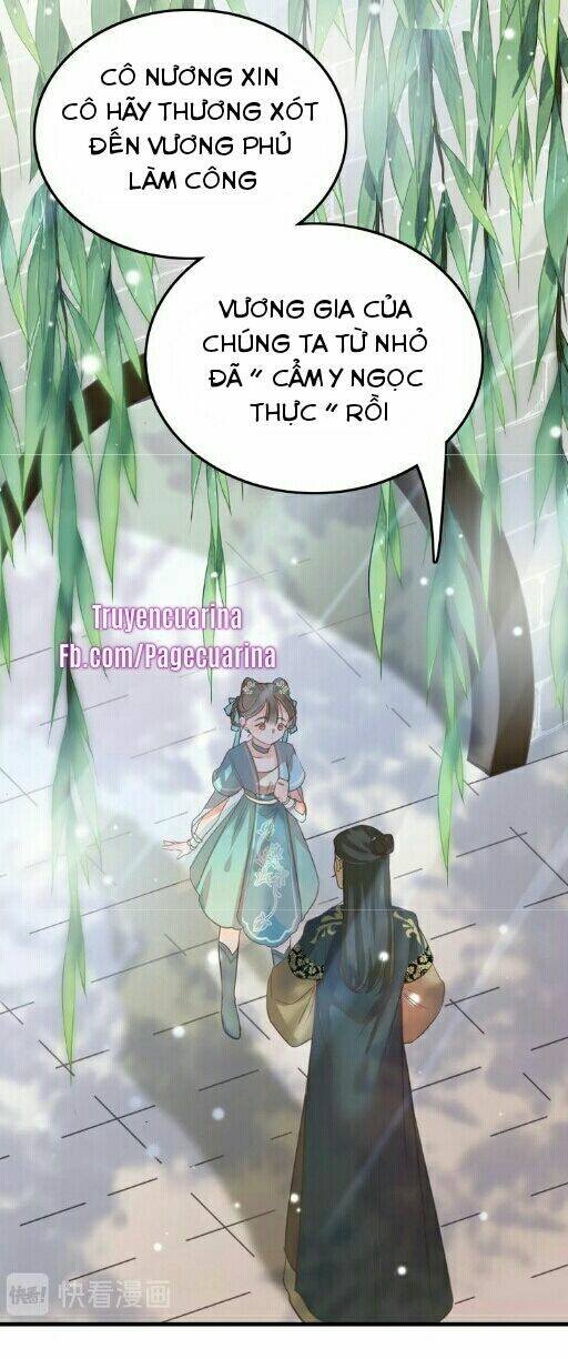 ứng hữu trường phong ỷ bích liên chapter 1.1 19