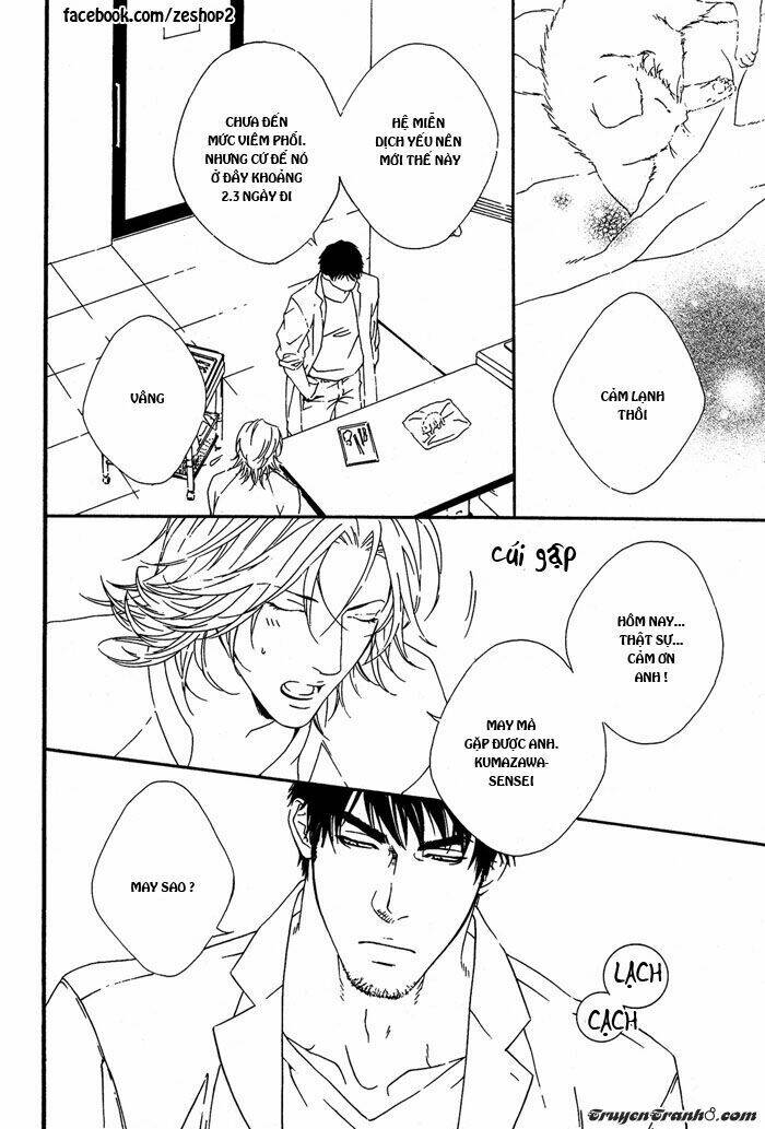 người nuôi mèo và bác sĩ thú y chapter 1 18