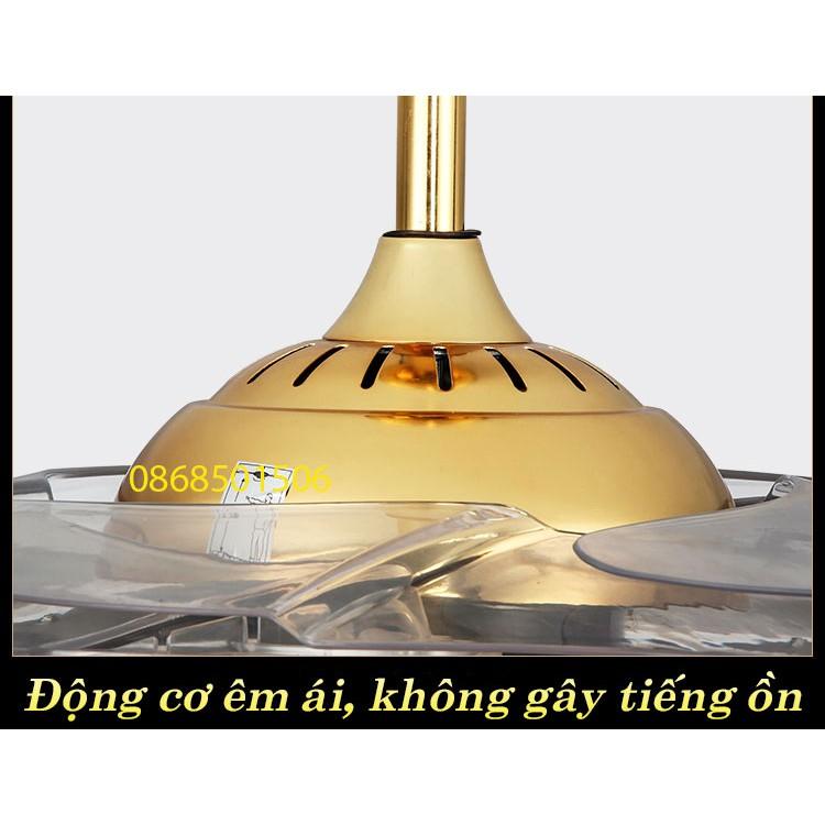 Quạt trần đèn trang trí, quạt trần dấu cánh G29-quạt tàng hình cánh cụp cánh xòe,quạt đèn cánh xếp, điều khiển từ xa