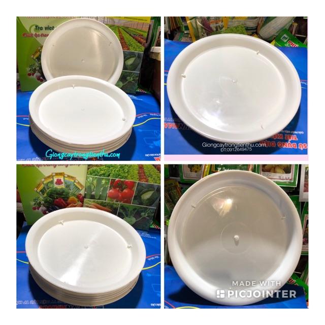 ĐĨA LÓT CHẬU CÂY CẢNH PHI 35
