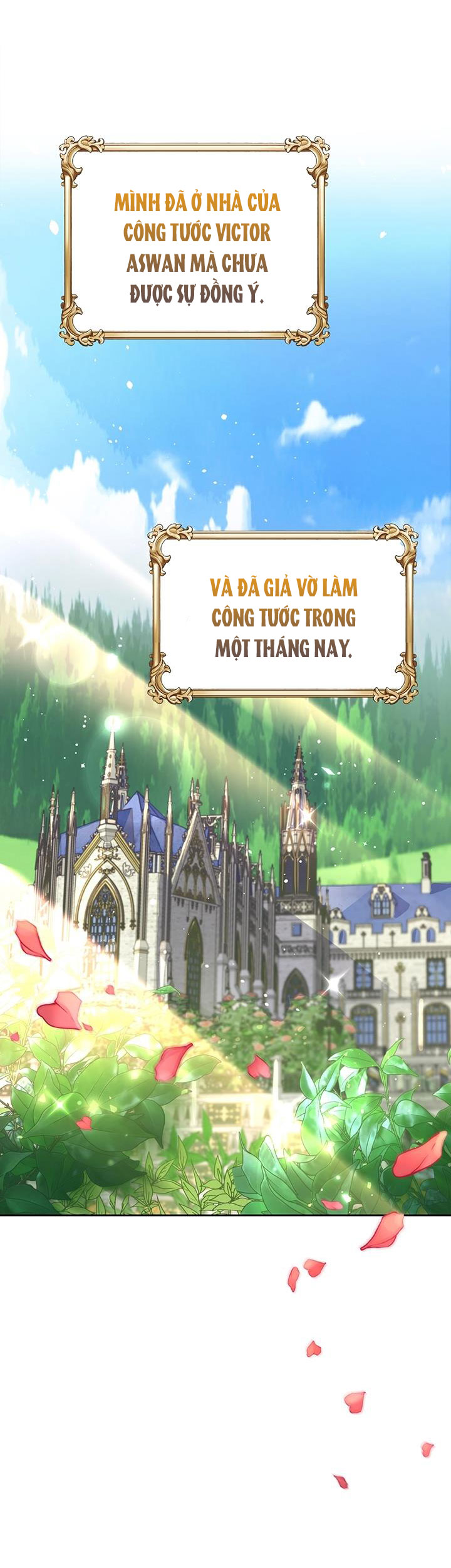 đây là cuộc hôn nhân lừa đảo chapter 1.1 23