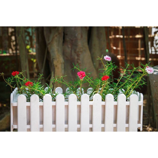 Chậu hàng rào size to 45x20x15cm, hàng Loại 1 dày, bóng đẹp nhiều màu, Chậu Nhựa Composite Trồng Hoa