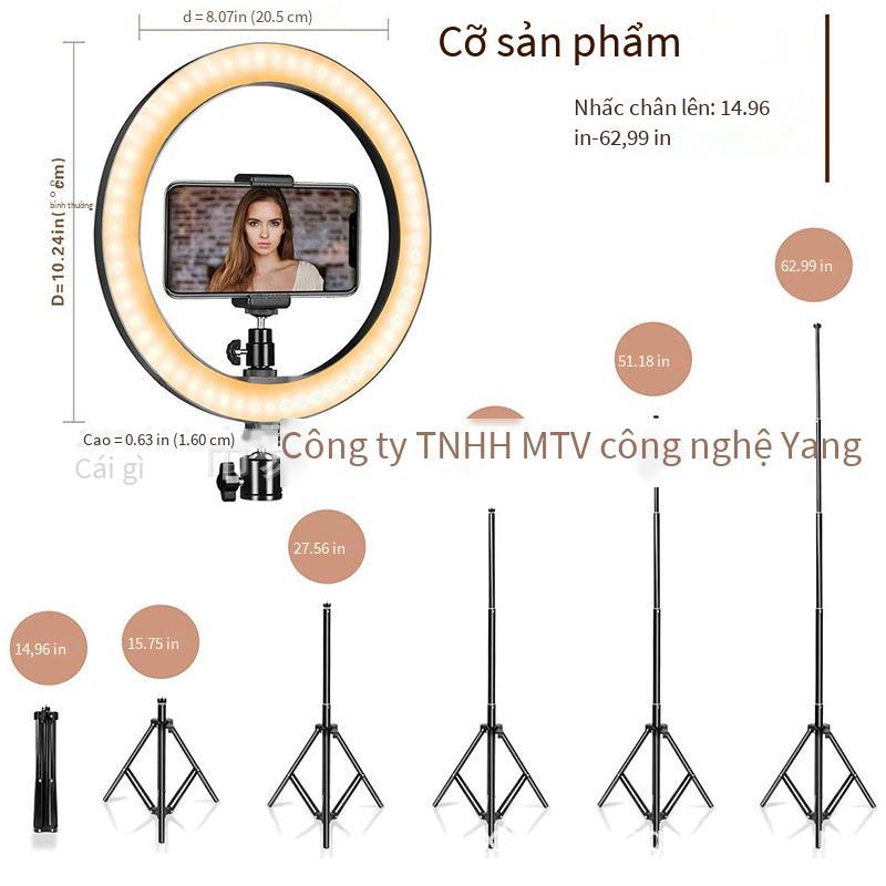 Giao hàng nhanh Vòng công cụ phát sóng trực tiếp 10 inch lấp đầy ánh sáng kính thiên văn giá đỡ gậy chụp ảnh tự sướng cho điện thoại di động Đèn LED làm đẹp đèn vòng ánh sáng