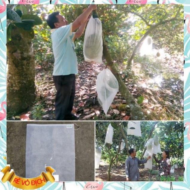 Túi Bao Trái Mít Set 100 túi - Bao Bọc Quả Mít