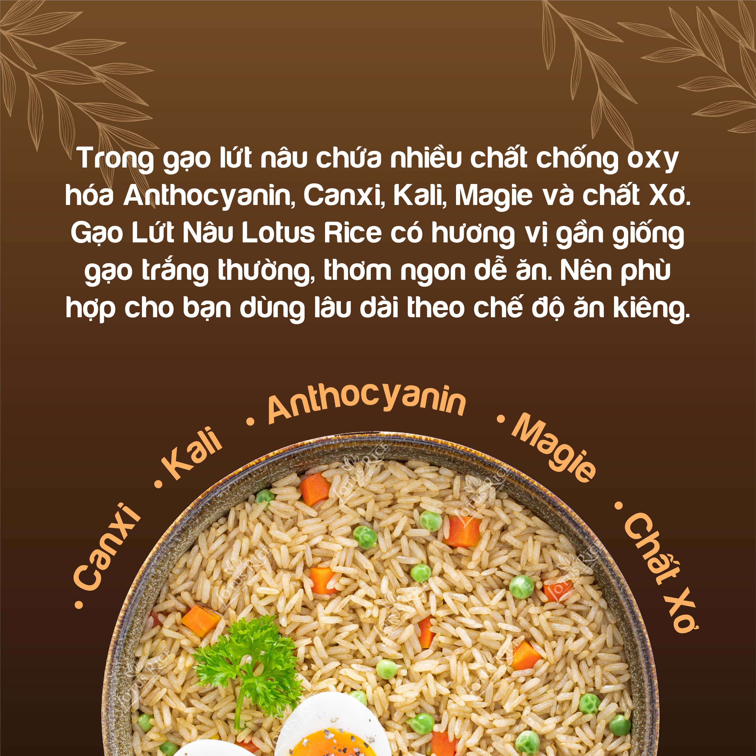 Gạo Lứt Nâu Lotus Rice 1kg - Tốt cho người ăn kiêng - Dễ ăn dễ nấu