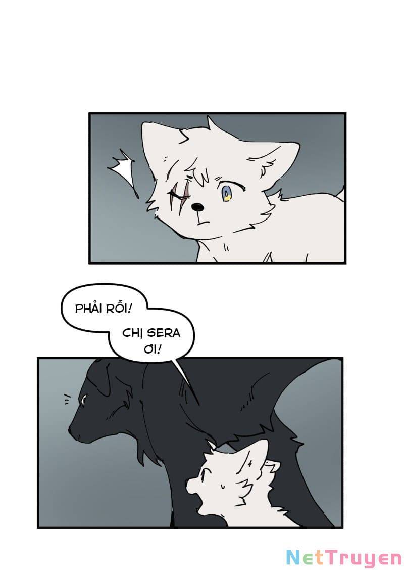 lumine - cội nguồn ánh sáng chapter 161 8