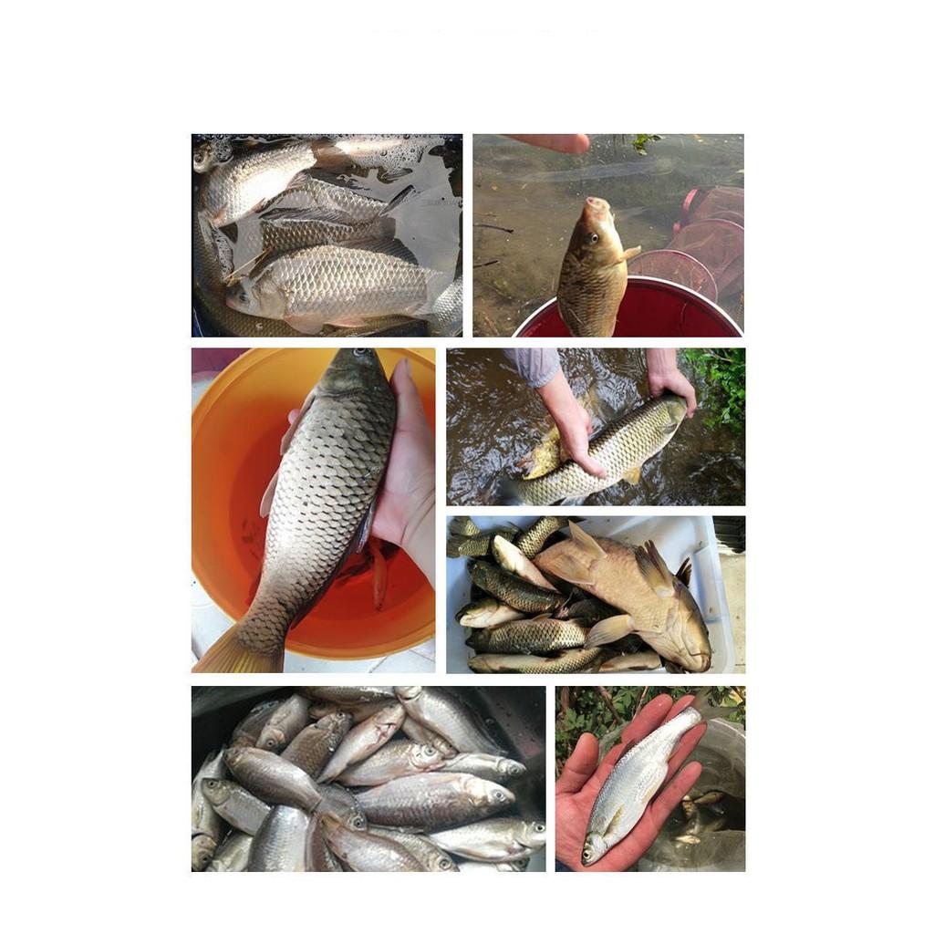 Cước Câu Cá 500m dây câu cá Siêu Bền - Sanami Fishing