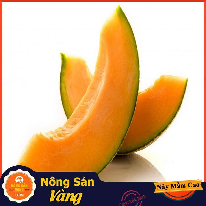 Hạt giống Dưa Lưới Ruột Vàng ( Gói 20 hạt ) - Nông Sản Vàng