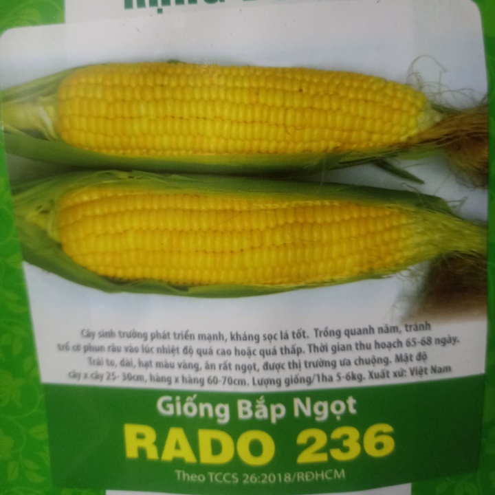 Hạt giống Bắp ngọt  gói 100gram