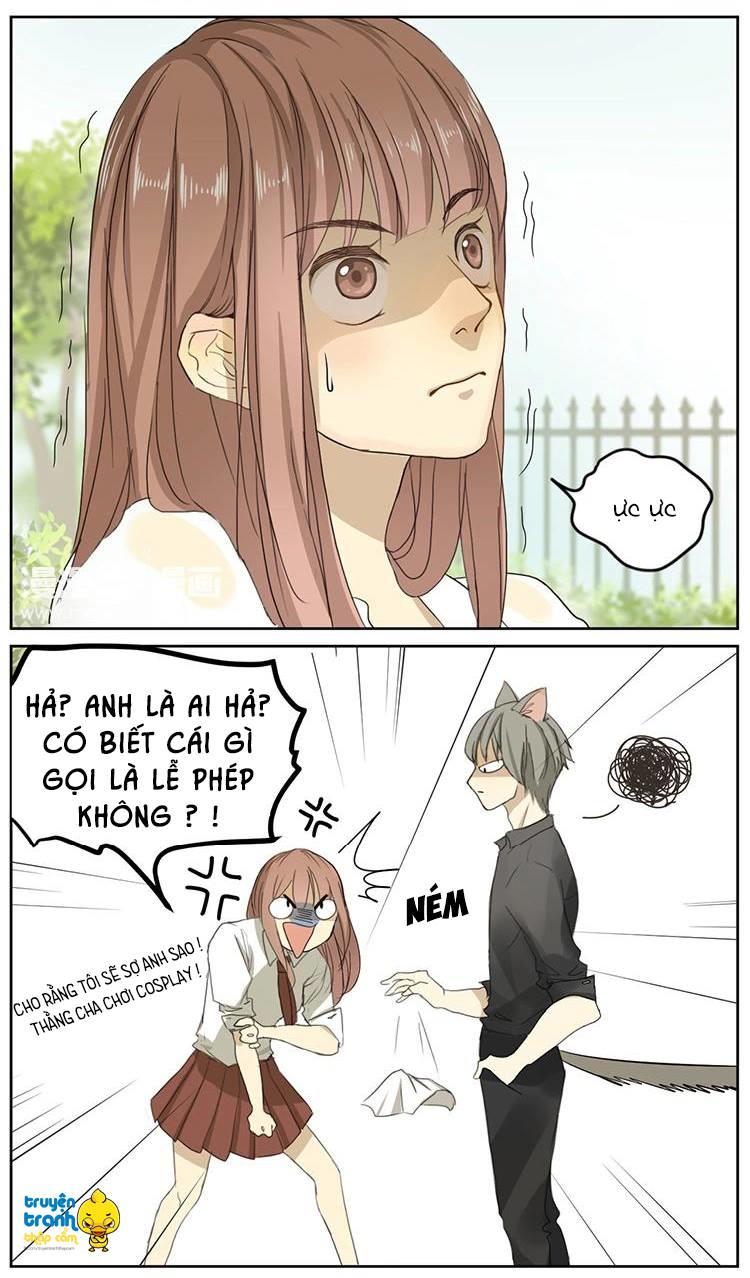 cứu mạng ! loài mèo thống trị thế giới rồi ! chapter 2 16