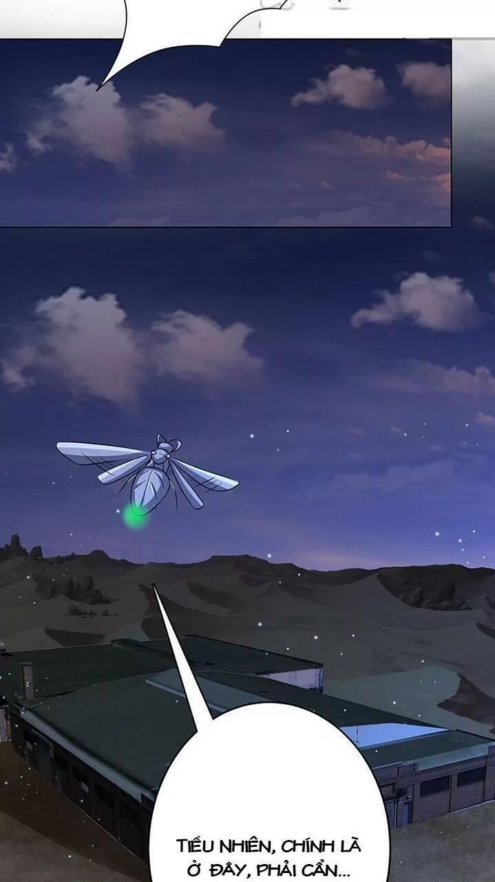 quy luật tình yêu ở mạt thế chapter 254 15