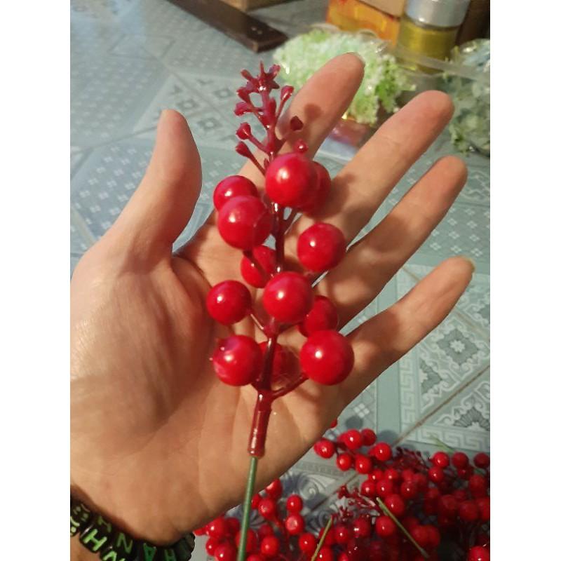 Chùm quả cherry,Quả mọng trang trí giáng sinh