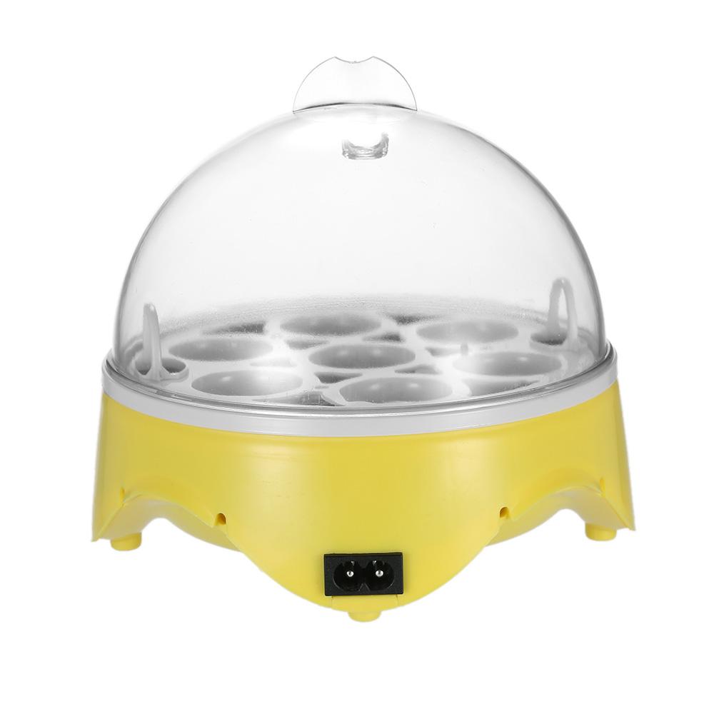 Máy ấp trứng kỹ thuật số mini