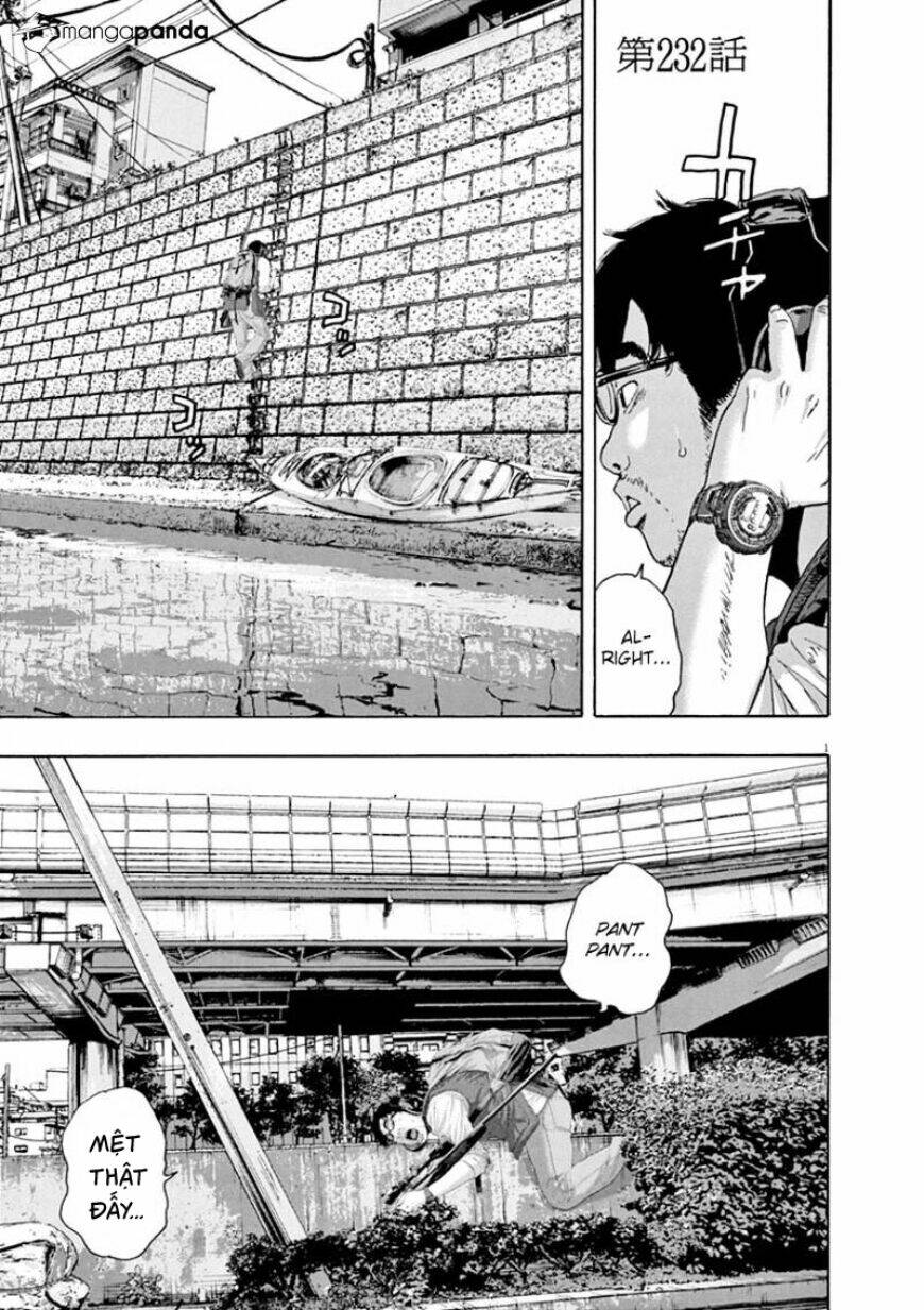 tôi là người hùng chapter 232 1