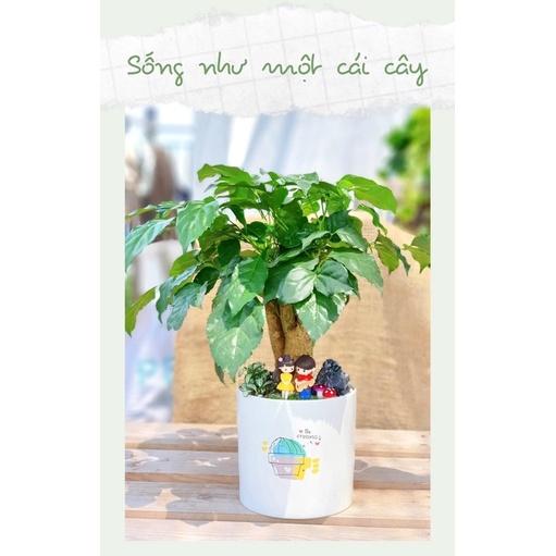 Chậu Trụ Trồng Cây Cảnh MiNi Đủ Size Sẵn Hàng