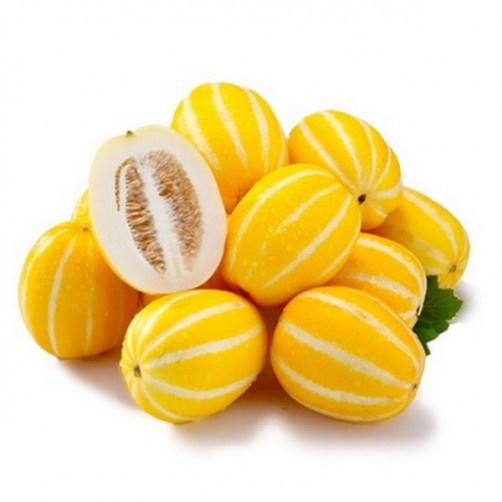 Hạt giống dưa lê Hàn quốc lai f1 Rado, đóng gói 5 hạt