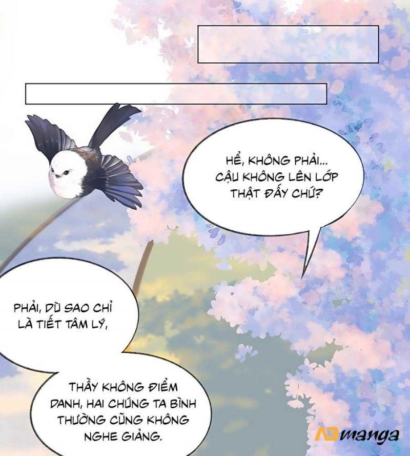 sao giờ, đẩy thuyền tới muốn yêu chapter 0 29