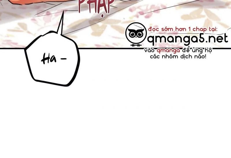 những chú thỏ của hapypy chapter 64 6