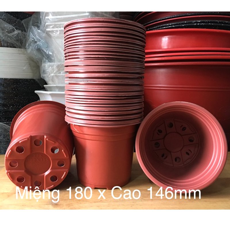 Combo 50 cái Chậu nhựa nâu N18x15cm trồng cây ăn trái và hoa,bền đẹp-77426