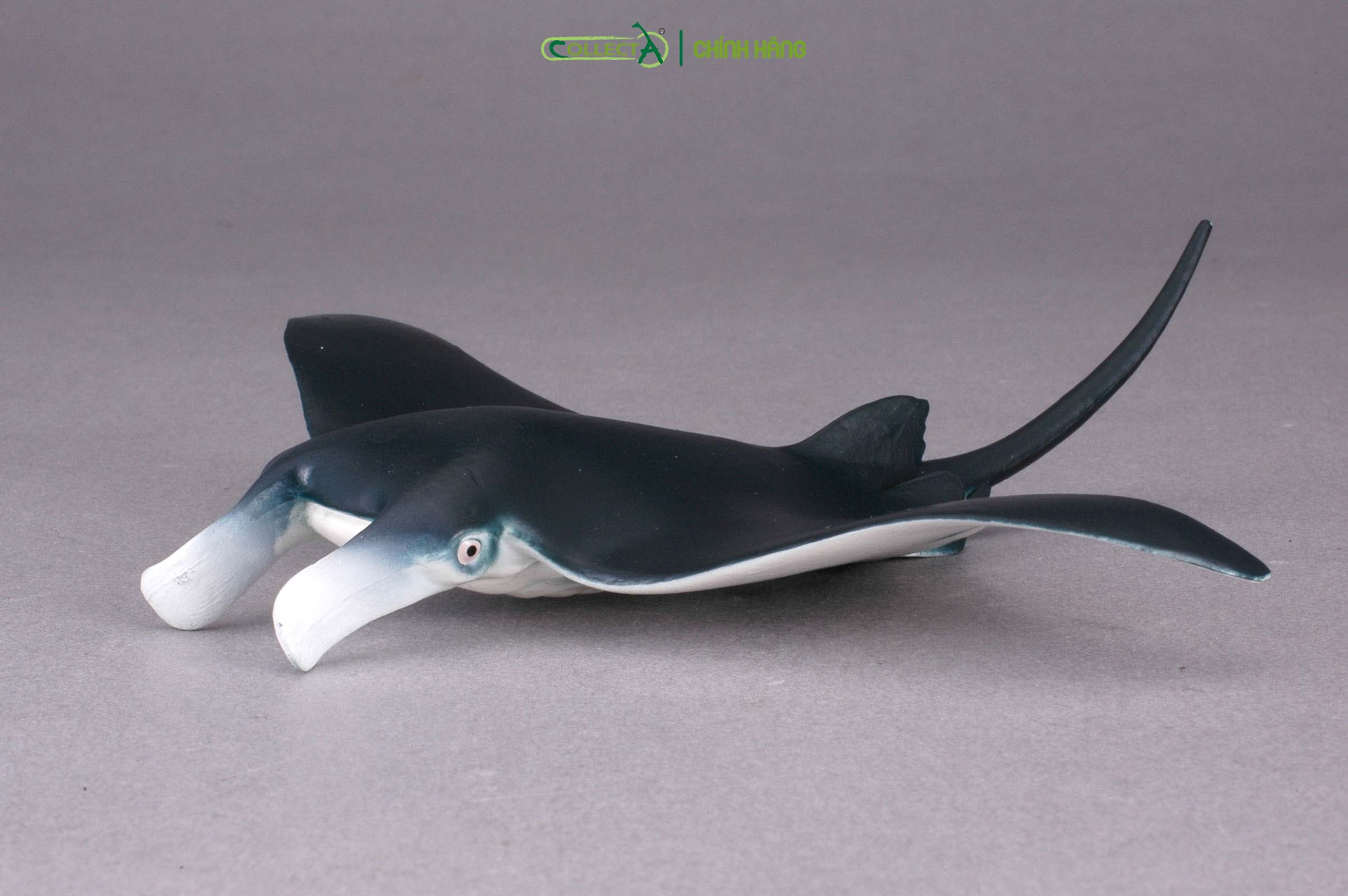 Mô hình thu nhỏ: Cá Đuối - Manta Ray, hiệu: CollectA, mã HS 9652010[88040] -  Chất liệu an toàn cho trẻ - Hàng chính hãng