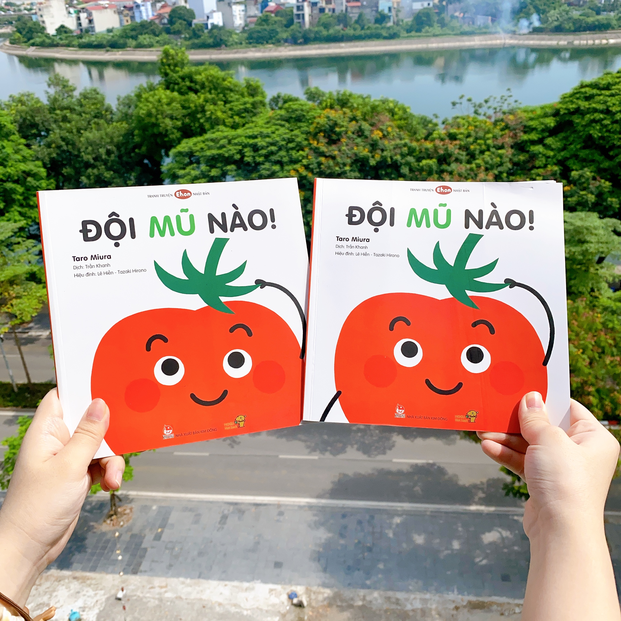 Sách cho bé từ 0-3 tuổi - Kĩ năng hàng ngày, Màu sắc, Hình khối - Đội mũ nào!