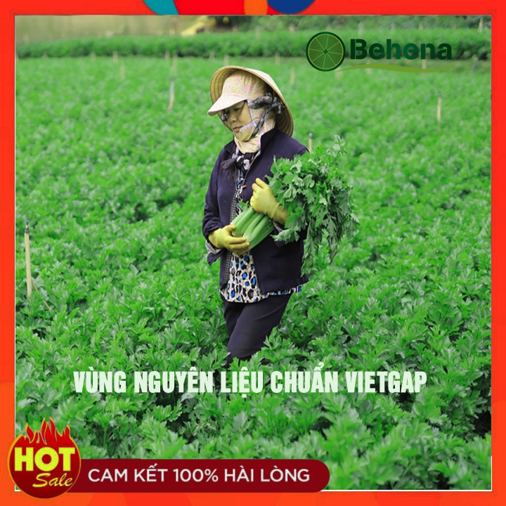Bột Cần Tây Nguyên Chất Behena 50g - Cần Tây Sấy Lạnh Nghiền Mịn Bằng Cối Đá - Hỗ Trợ Giảm Cân - Mỡ Máu - Huyết Áp Cao