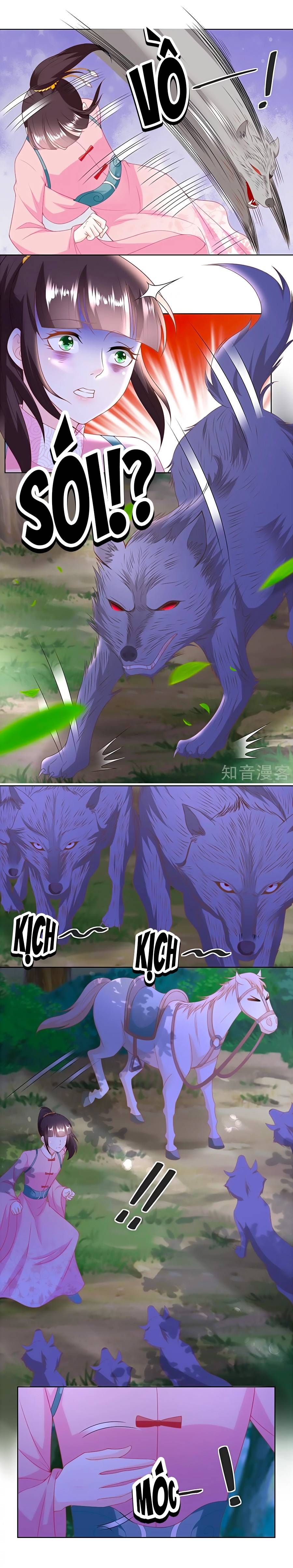 nông nữ thù sắc chapter 150 5